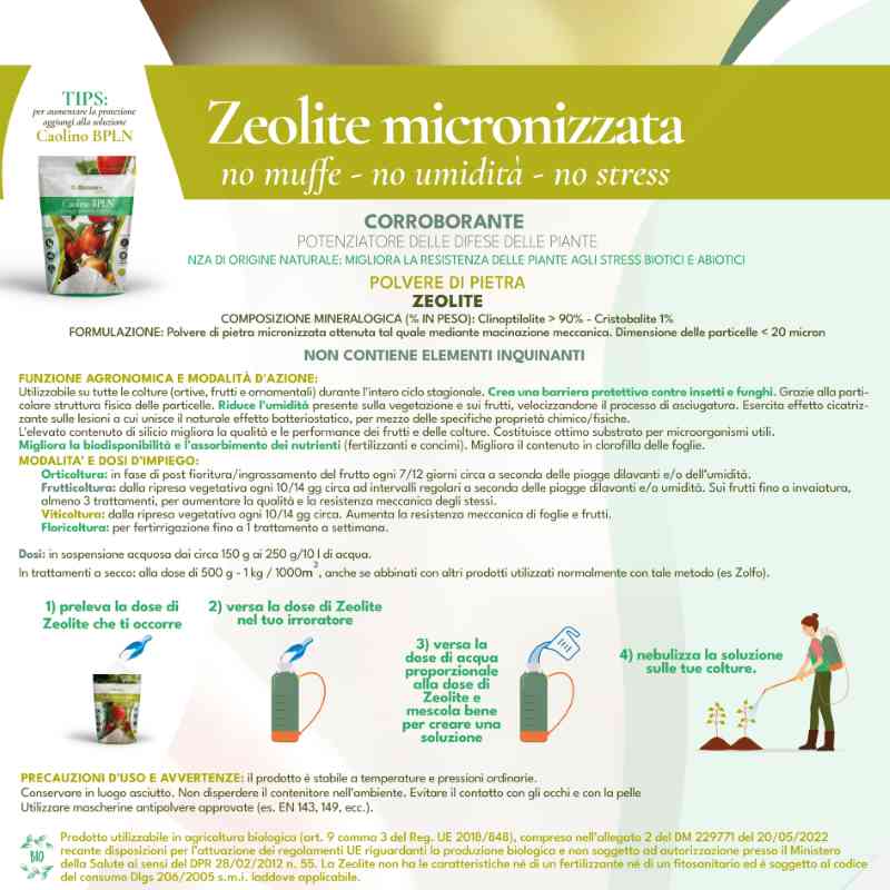 Zeolite Micronizzata - Sacco da 1 kg